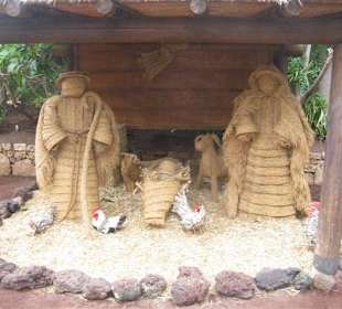 Weihnachtsmotiv in Oasis Park