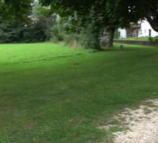 Friedhof Neresheim