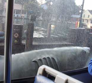 Universal Studio - jedna z atrakcji 