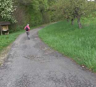 Naturerlebnisweg des NABU-Metzingen