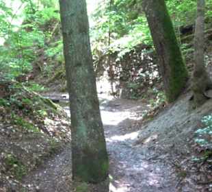 Wanderweg - Alter Steinbruch Pfaffenberg Runde