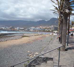Ebbe