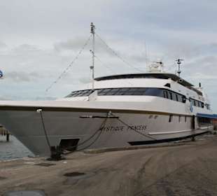 Mystique Princes im Hafen von Lautoka