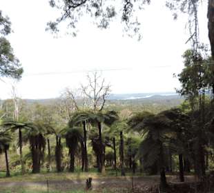 Durch die Natur Austarliens