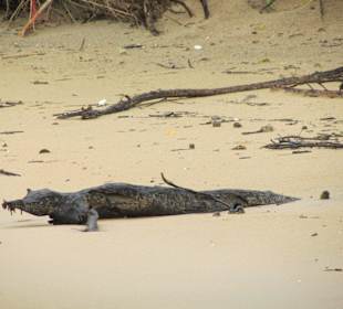 Vorsicht! Lebensgefahr?  