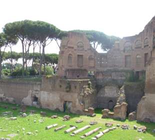 Im Palatino.
