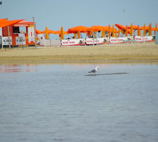 Strand von Bibione 06-2010