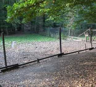 Altwege Rundwanderung Bebenhausen