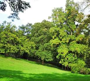 Rundgang durch Knoops Park im Herbst