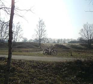 Wunderschöne Boberger Niederung