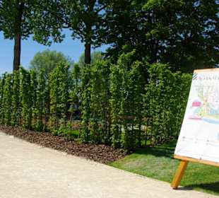 Bepflanzungen am Anfang