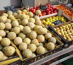 Eindrücke vom Rundgang über den Markt von Elne