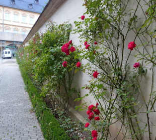 Ros05 - Außenmauer auch mit Rosen