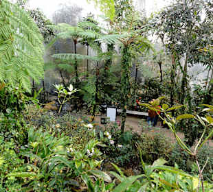 Das Borneo-Tropenhaus