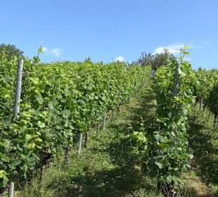 Hochgehnießen - Premiumspazierwanderweg