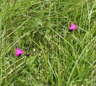 Unterwegs auf der Ostheimer Streifberg-Tour