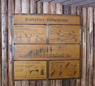 Beschreibung