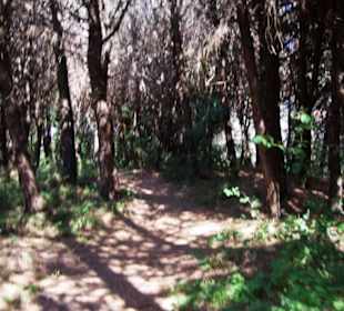 Fra alleine ohweh...