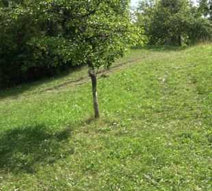 Wanderweg Ammerbucher Gigeleswegle