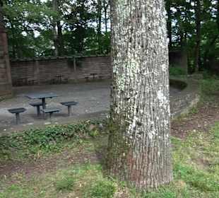 Aussichtspunkt Hasenberganlage