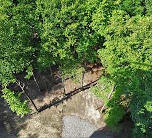 Eindrücke vom Baumwipfelpfad Steigerwald