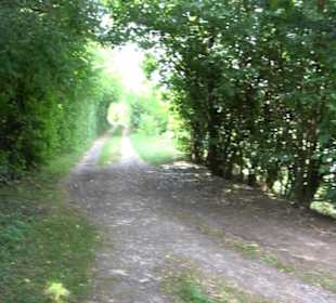 Wanderweg Ammerbucher Gigeleswegle