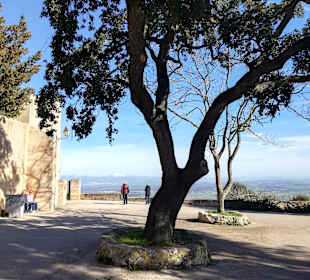 Wandern Playa de Palma - Palma