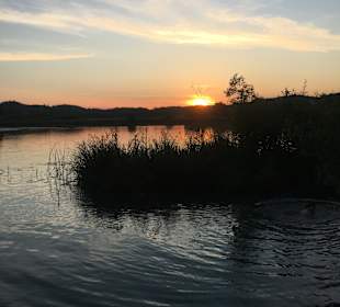 Wandern Radolfzell am Bodensee