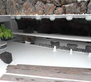 Jameos del Agua Bar