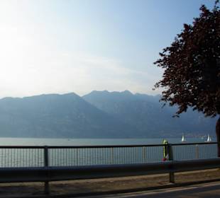 Fahrt von Malcesine am Ufer entlang