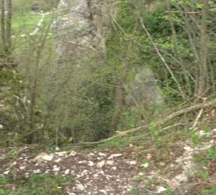 Wanderung rund um das Rusenschloss Gerhausen