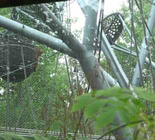 Tierpark Hellabrunn - Welt der Affen