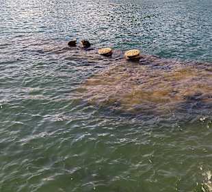Wrack der USS Arizona 