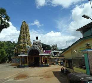 Geführte Touren Your Tour Sri Lanka