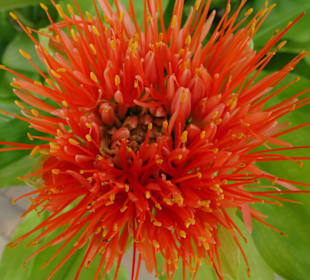 Rundgang durch den Park der Gärten