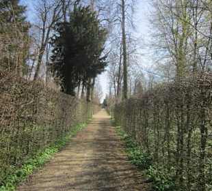 Schlossgarten Schwetzingen