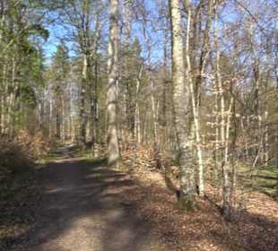 Rotwilderlebnispfad