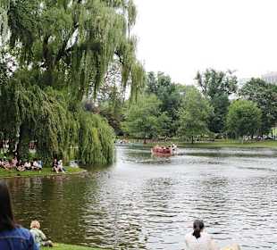 Der See "Frog Pond"