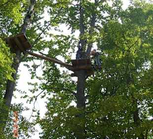 Hochseilbaumgarten