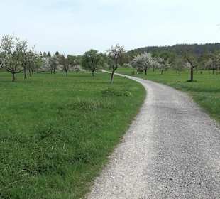 Walderlebnisweg Rottenburg