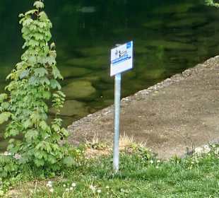 Der Schwal