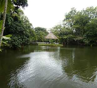 Botanischer Garten