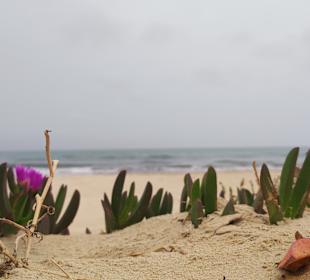 Strand Waikiki Beach
