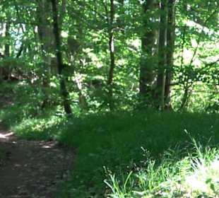 Premiumwanderweg "hochgelegen"