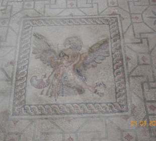 Mosaik im Hauses des Dionysos