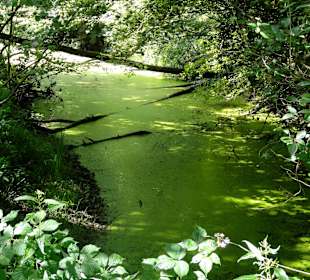 Unterwegs auf dem Huntepadd