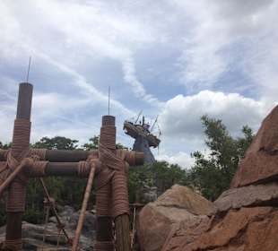 Disney's Typhoon Lagoon