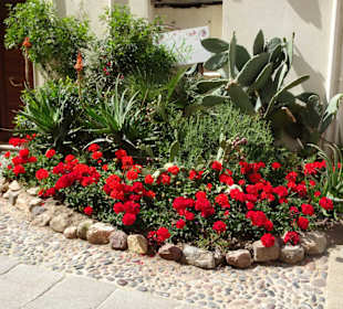 Impressionen aus der Altstadt von Alghero