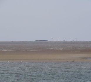 Hallig Hoge