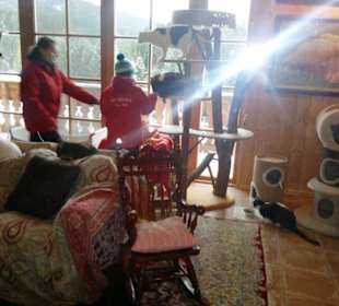 Gut Aiderbichl Katzen/Hundehaus